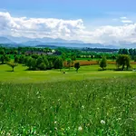 奥格高尔夫酒店 度假村