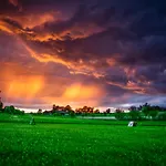 奥格高尔夫酒店 度假村 *