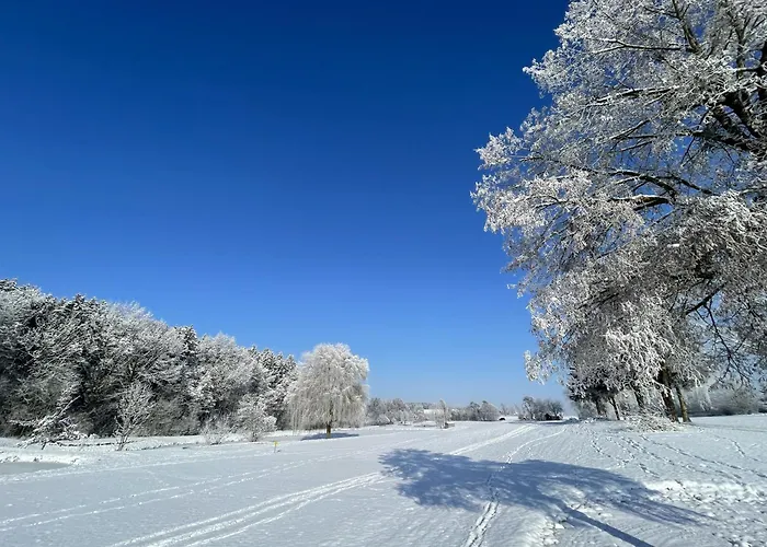 Og's Golf منتجع Kematen an der Krems