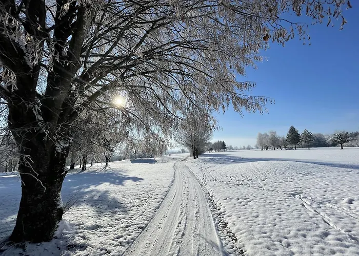 منتجع Og's Golf Kematen an der Krems